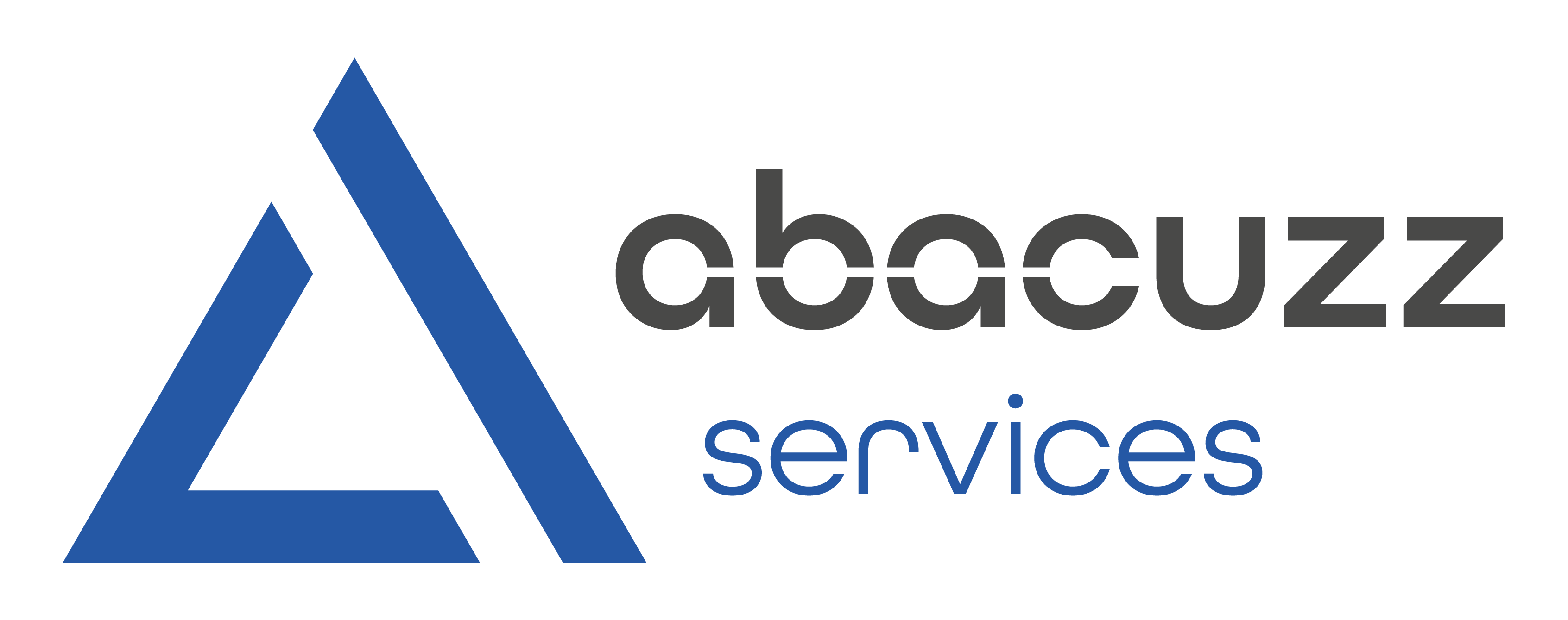 Abacuzz SERVICES